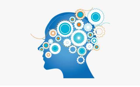 Brain Brief Profile Assessment