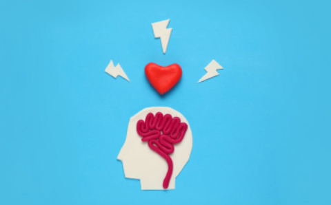 What is a Development Focused Straightforward model (2)