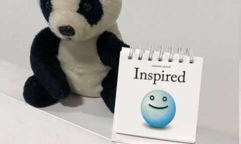 992f97_6d5abc23f58047b6bf42c384ab18fb2b_mv2 (1)